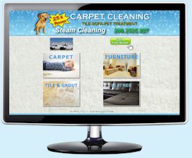 25 Carpet Cleaning